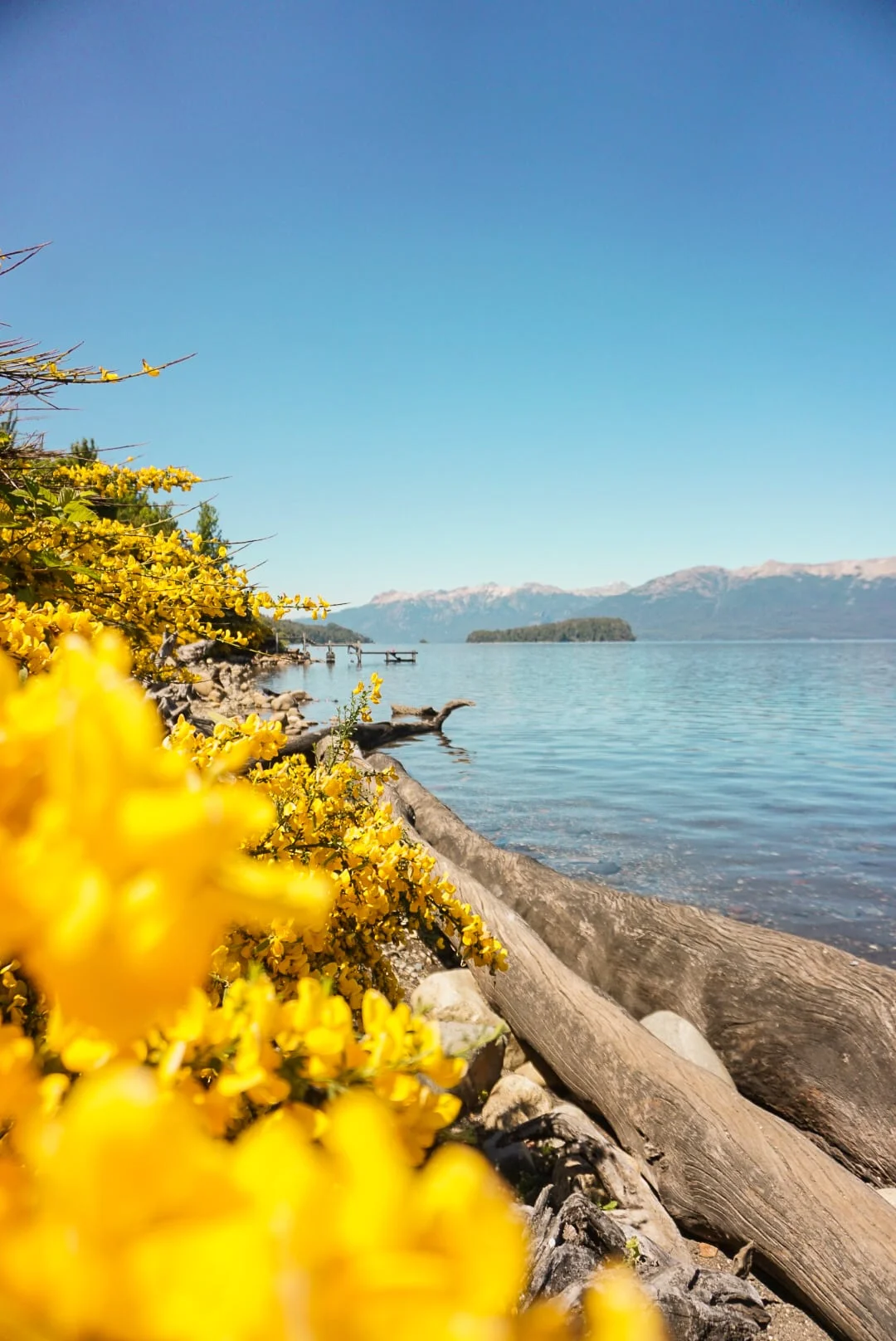 Foto de Bariloche 6