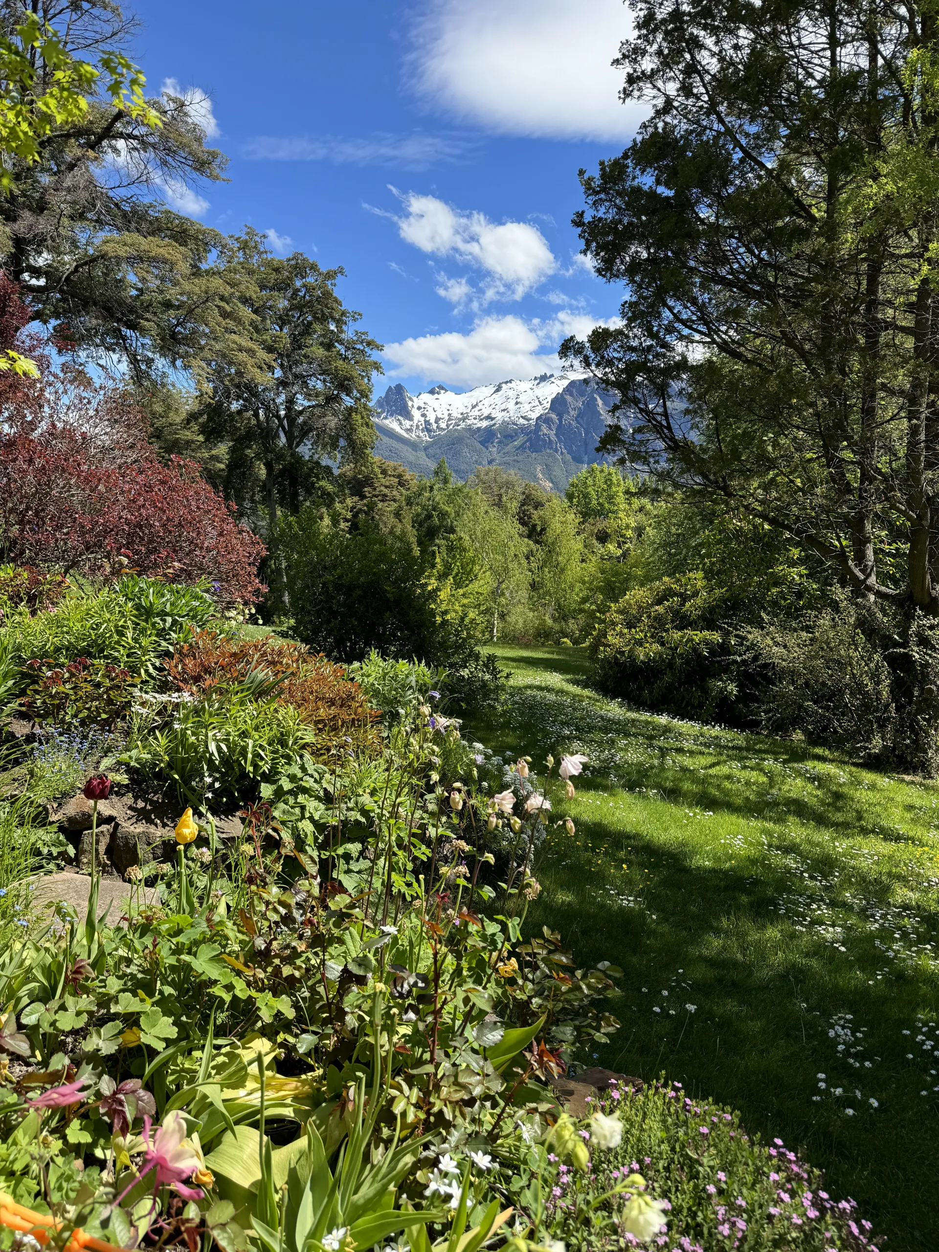 Foto de Bariloche 5